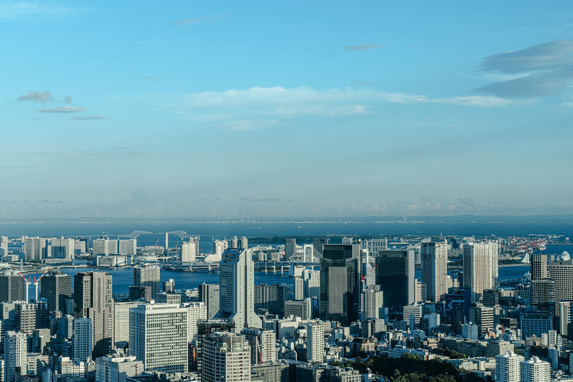 International Real Estate